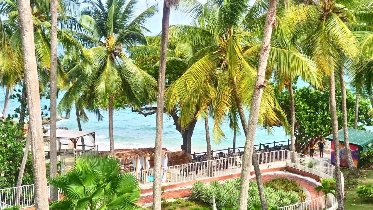 Grand Studio Les Pieds Dans L'Eau, Centre Ville Le Gosier  Exterior photo